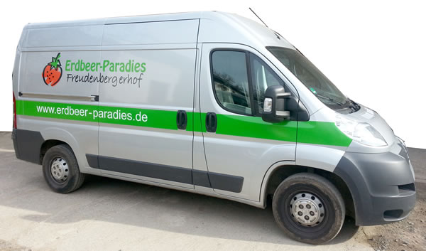 Referenzbild
